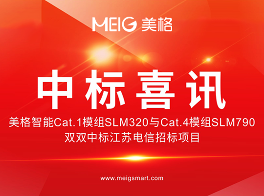 6t����(6TSPORTS)�����Źɷݹ�˾