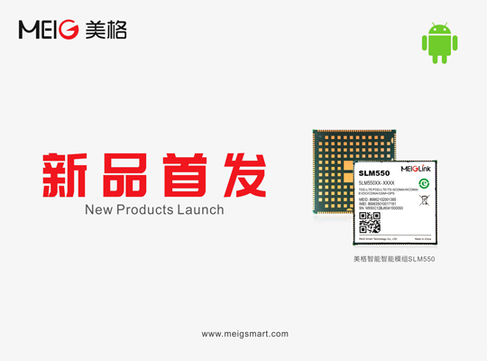 6t����(6TSPORTS)�����Źɷݹ�˾